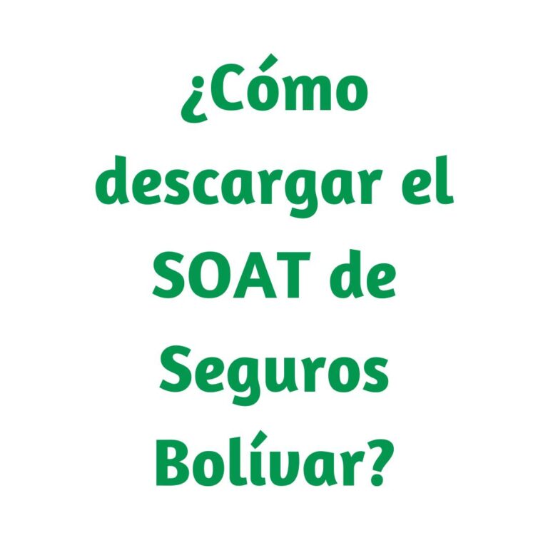 C Mo Descargar El Soat De Seguros Bol Var