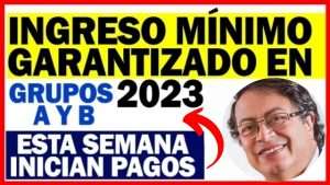 PAGOS-INGRESO-MINIMO-GARANTIZADO