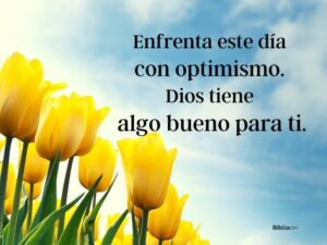 christus-sinergia-inspiradoras-citas-para-reflexionar